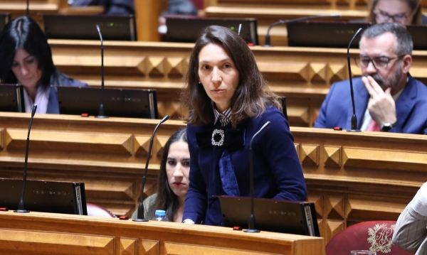 33a3a397a36957be1f4b5bbe1a232201_L