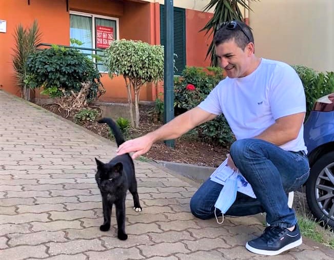 Bem-estar animal é prioridade do programa do PS para Câmara de Lobos