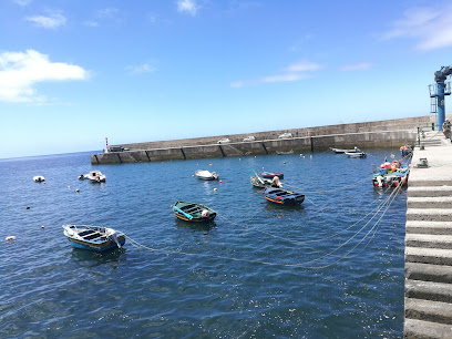 PS defende instalação de posto de abastecimento de gasóleo colorido e marcado para embarcações na Calheta