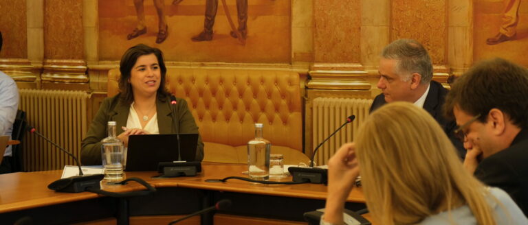 Sara Cerdas é primeira convidada para audiência da Subcomissão de Saúde Global na Assembleia da República