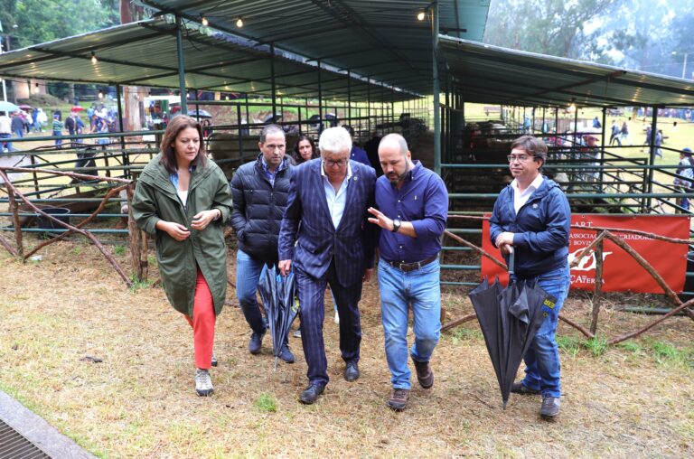 PS promete apoio aos criadores de gado da Região