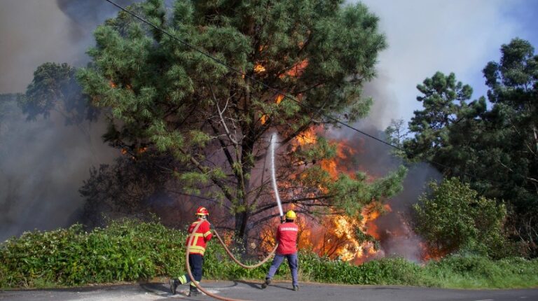 PS-Madeira expressa solidariedade para com as populações afetadas pelos incêndios