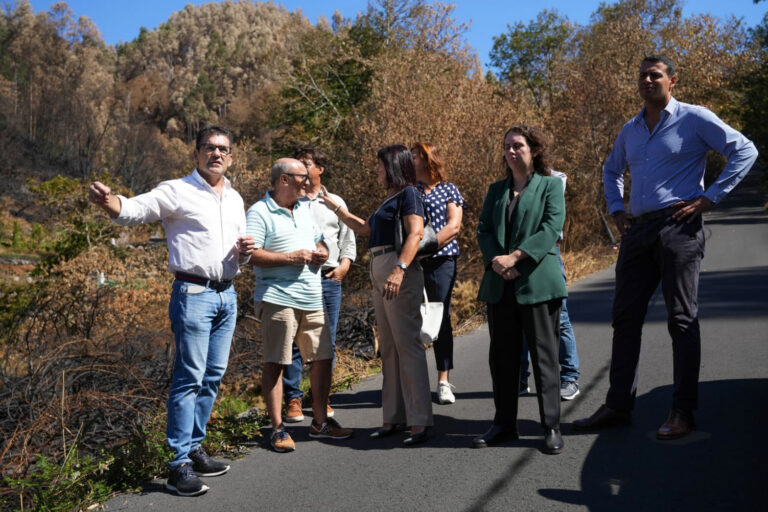 PS-M alerta que são urgentes apoios e plano de reflorestação para Câmara de Lobos