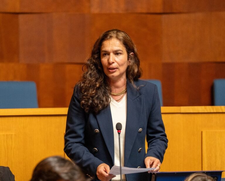 PS acusa maioria PSD/CDS de usar poder absoluto para calar oposição e esconder a realidade