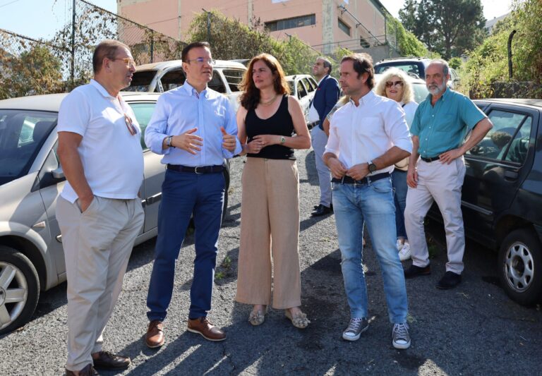 PS vai remover carros abandonados da via pública e criar bolsas de estacionamento nas zonas altas do Funchal