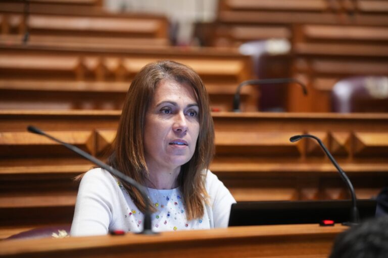 Sofia Canha questiona Miranda Sarmento sobre adiamento na revisão da Lei das Finanças regionais