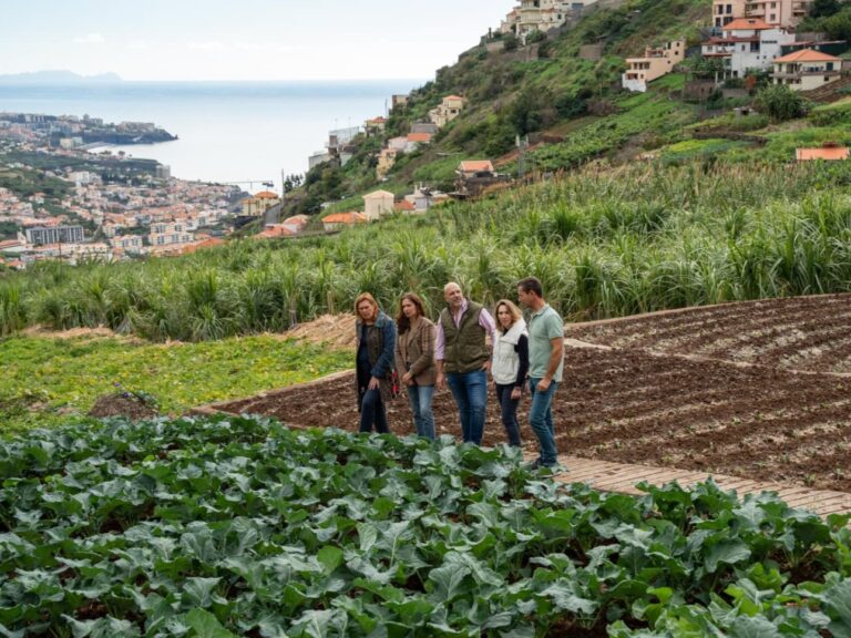PS propõe alteração ao Orçamento para travar cortes nos apoios aos agricultores